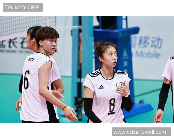 上海排球队团队协作引发热议球迷对战术配合和默契度的不同看法