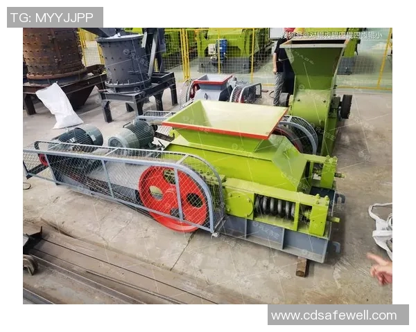 北京羽毛球队防守革新之路：技术与战术的全面升级与探索