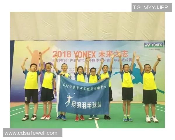 南京羽毛球队状态分析与表现评估全面解读 南京羽毛球队状态分析与表现评估全面解读