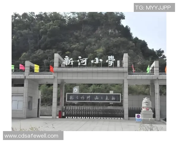 张娜专访：从青涩小将到乒乓球传奇的成长之路回顾