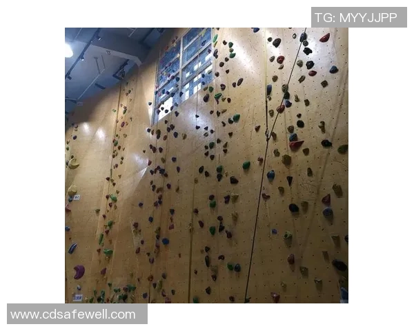 攀岩焦点：南京攀岩队的战术探讨