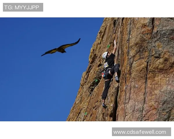 数据分析：北京攀岩队的节奏表现