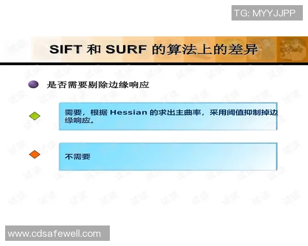 独家分析：BLG的技术对比