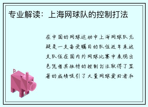 专业解读：上海网球队的控制打法