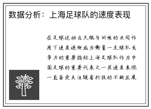 数据分析：上海足球队的速度表现