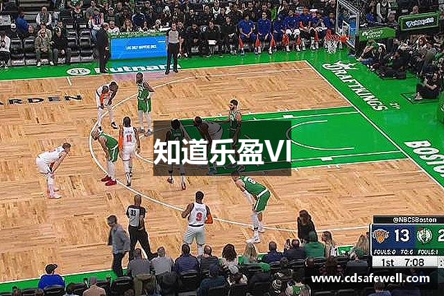 知道乐盈VI